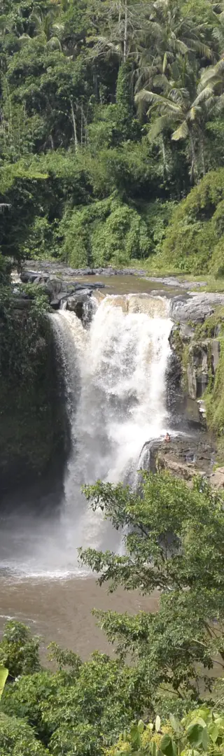 Bali, die Insel der Götter